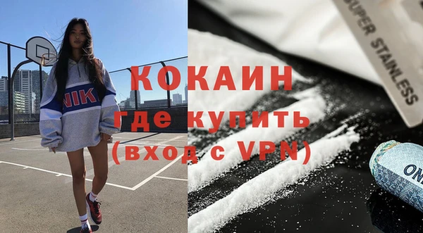 шишки Новокубанск