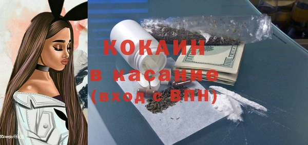 шишки Новокубанск