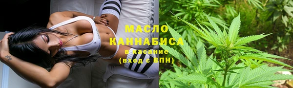 шишки Новокубанск