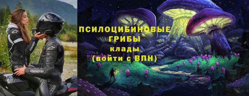 Псилоцибиновые грибы Magic Shrooms  МЕГА как войти  Николаевск-на-Амуре 